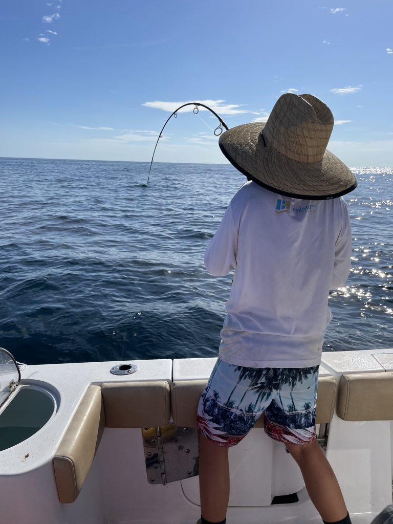 7 Knots story